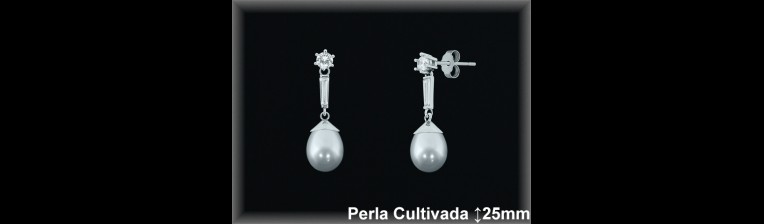 Pendientes Plata al por mayor ref R6663 Mayoristas Plata al por Mayor