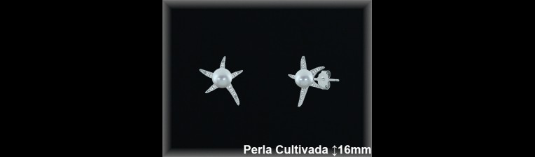 Pendientes Plata al por mayor ref R8565 Mayoristas Plata al por Mayor