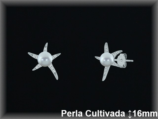 Pendientes Plata al por mayor ref R8565 Mayoristas Plata al por Mayor