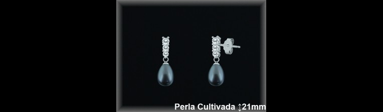 Pendientes Plata al por mayor ref R8480G Mayoristas Plata al por Mayor