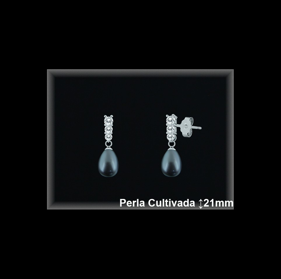 Pendientes Plata al por mayor ref R8480G Mayoristas Plata al por Mayor