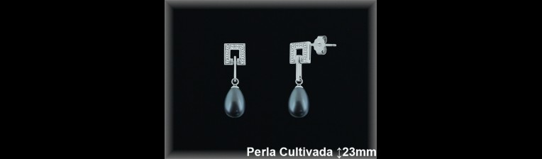 Pendientes Plata al por mayor ref R8501G Mayoristas Plata al por Mayor