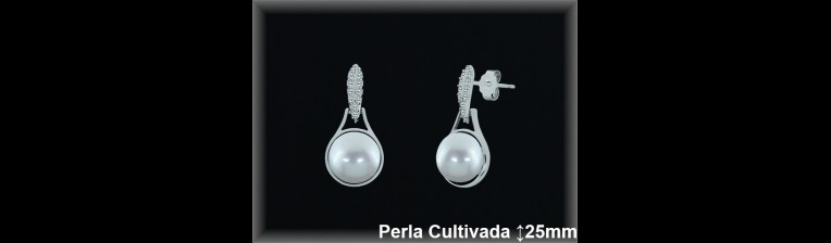 Pendientes Plata al por mayor ref R8561 Mayoristas Plata al por Mayor