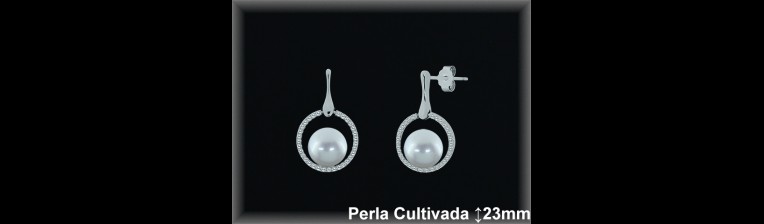 Pendientes Plata al por mayor ref R8624 Mayoristas Plata al por Mayor