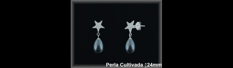 Pendientes Plata al por mayor ref R8632G Mayoristas Plata al por Mayor