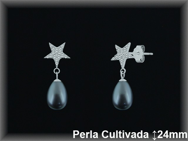 Pendientes Plata al por mayor ref R8632G Mayoristas Plata al por Mayor