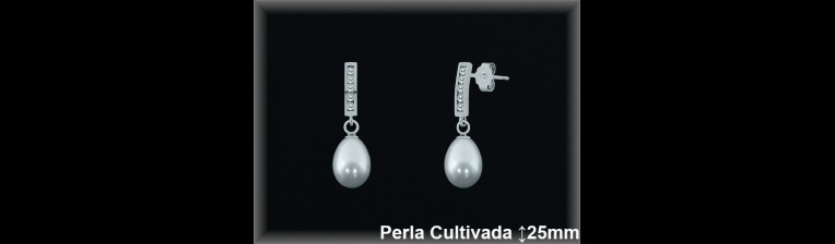 Pendientes Plata al por mayor ref R8523 Mayoristas Plata al por Mayor