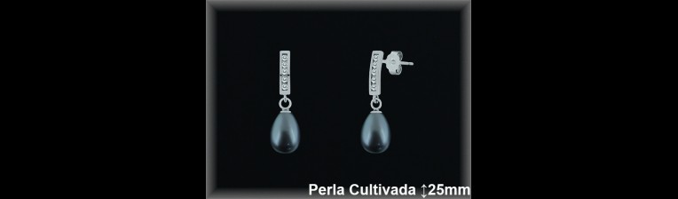 Pendientes Plata al por mayor ref R8523G Mayoristas Plata al por Mayor