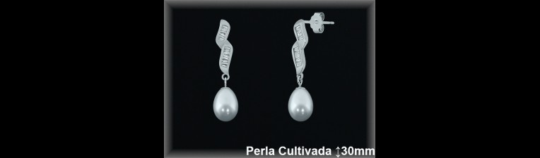 Pendientes Plata al por mayor ref R8630 Mayoristas Plata al por Mayo