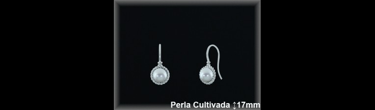 Pendientes Plata al por mayor ref R8649 Mayoristas Plata al por Mayor