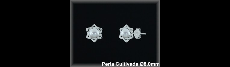 Pendientes Plata al por mayor ref MR101 Mayoristas Plata al por Mayor