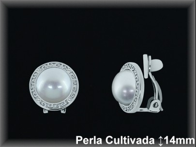 Pendientes Plata al por mayor ref R8303 Mayoristas Plata al por Mayor