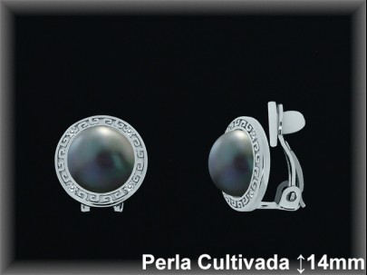 Pendientes Plata al por mayor ref R8303G Mayoristas Plata al por Mayor