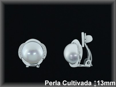 Pendientes Plata al por mayor ref R8304 Mayoristas Plata al por Mayor