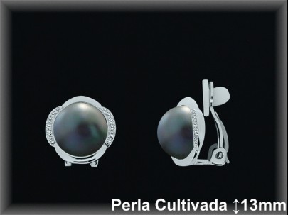 Pendientes Plata al por mayor ref R8304G Mayoristas Plata al por Mayor